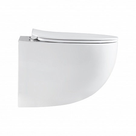 Подвесной унитаз безободковый Terminus Енисей Monolit 560х390 белый Орск - фото 4