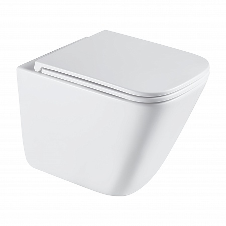 Подвесной унитаз безободковый Terminus Ватикан Monolit 490х340 белый Орск - фото 2