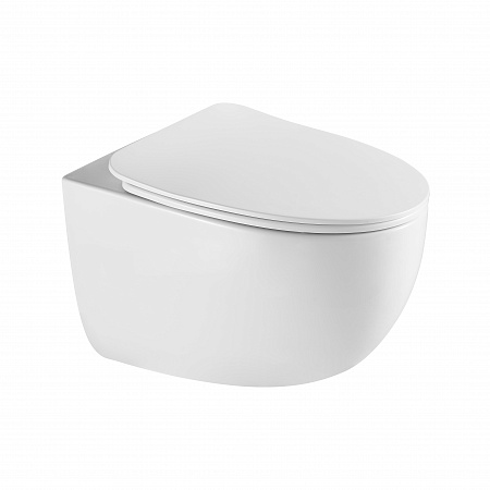 Подвесной унитаз безободковый Terminus Енисей Monolit 560х390 белый Орск - фото 2