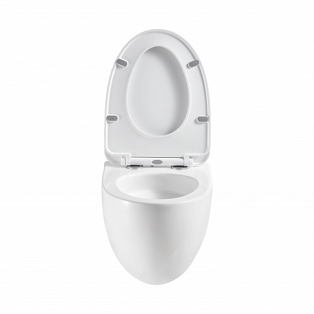 Подвесной унитаз безободковый Terminus Енисей Monolit 560х390 белый Орск - фото 5