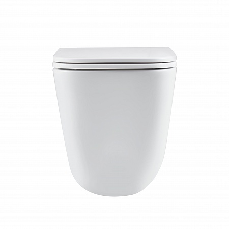 Подвесной унитаз безободковый Terminus Ватикан Monolit 490х340 белый Орск - фото 6