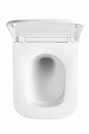 Подвесной унитаз безободковый Terminus Ватикан Monolit 490х340 белый Орск - фото 3